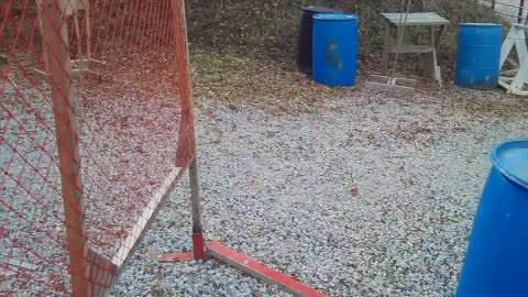 IDPA @ BGSL Saturday November 15 2025 KCH TOY DRIVE MATCH