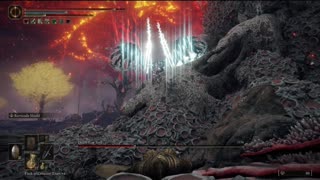 Elden Ring PC | Death Rite Bird of Caelid solo on NG #eldenring #eldenringgameplay #gaming #shorts
