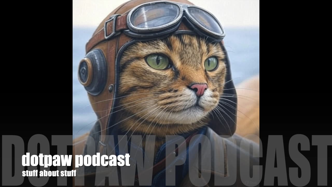 dotpaw podcast - Change -