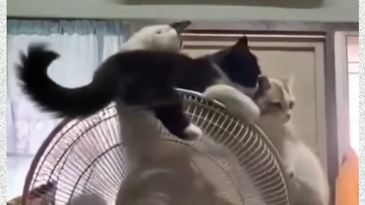 How to make tik tok funny shorts viral video