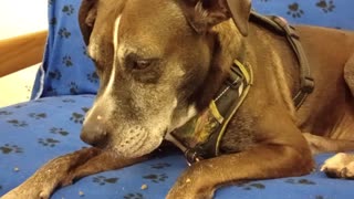 VID_20250914_142213617
