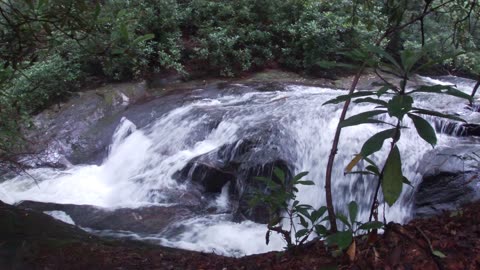 Mountain Creek ASMR 🌊✨
