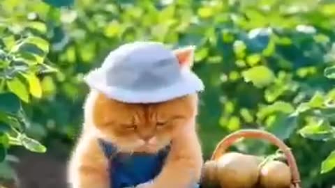 lkkkkk