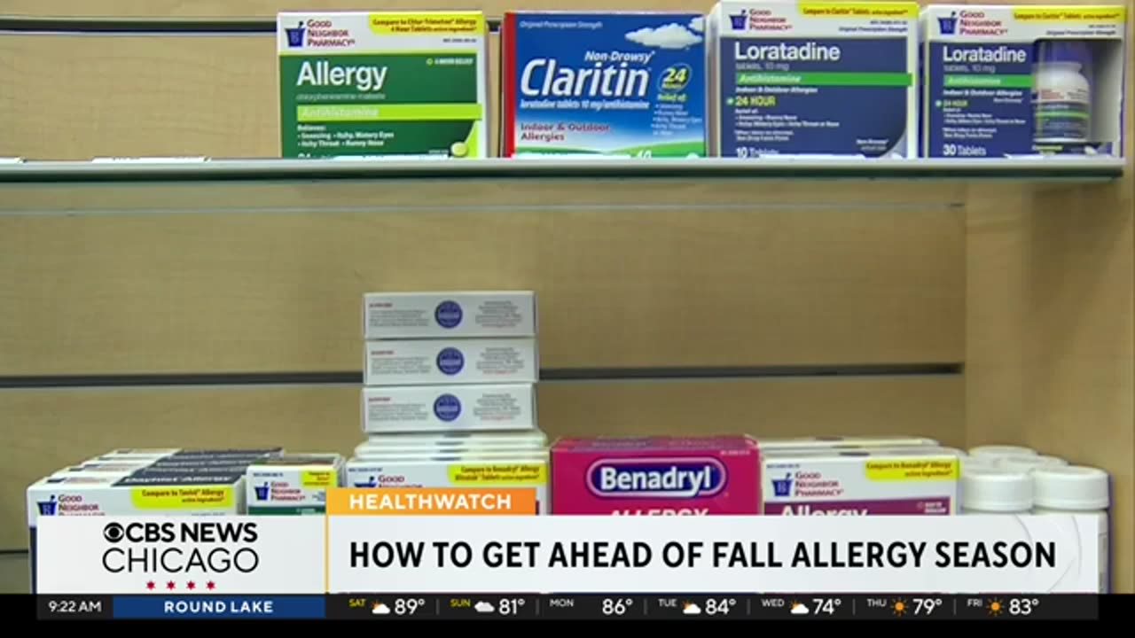 Allergy sufferers advised to start medications before fall symptoms arrive