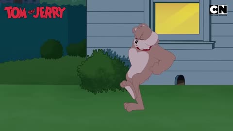 Tom & Jerry 😺🐭| Airborne Chaos with Nibbles & Jerry! 🚀#funny#animals