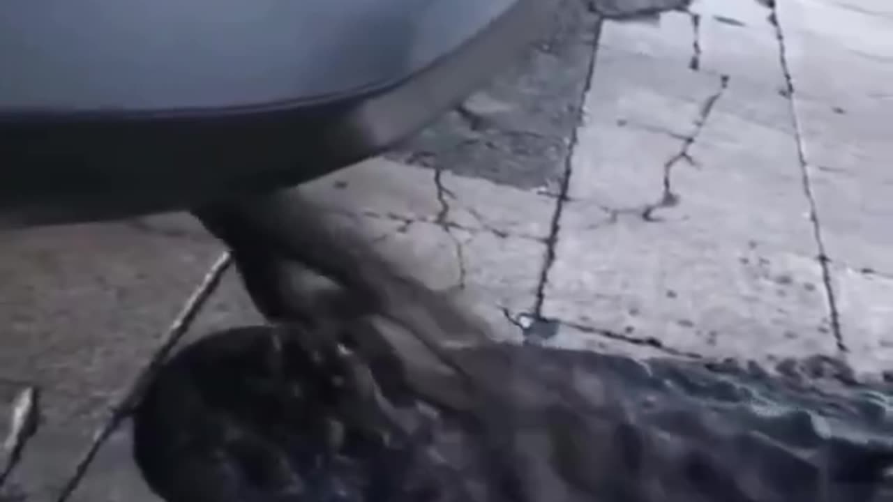 Car Vs Taco Bell