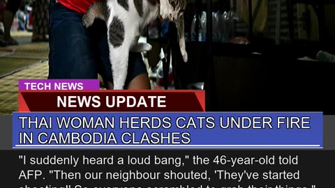 Thai Woman Herds Cats Under Fire in Cambodia Clash