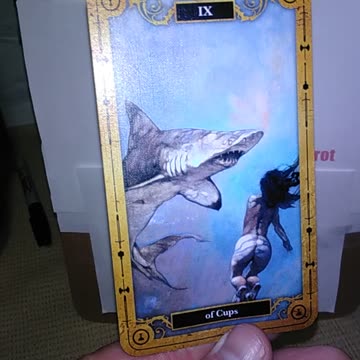 8-5-25 #fortunetelling