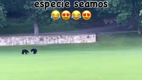 Sigueme para mas