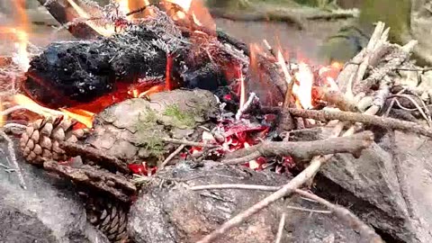 Peaceful Moments by the Fire in a Beautiful Forest