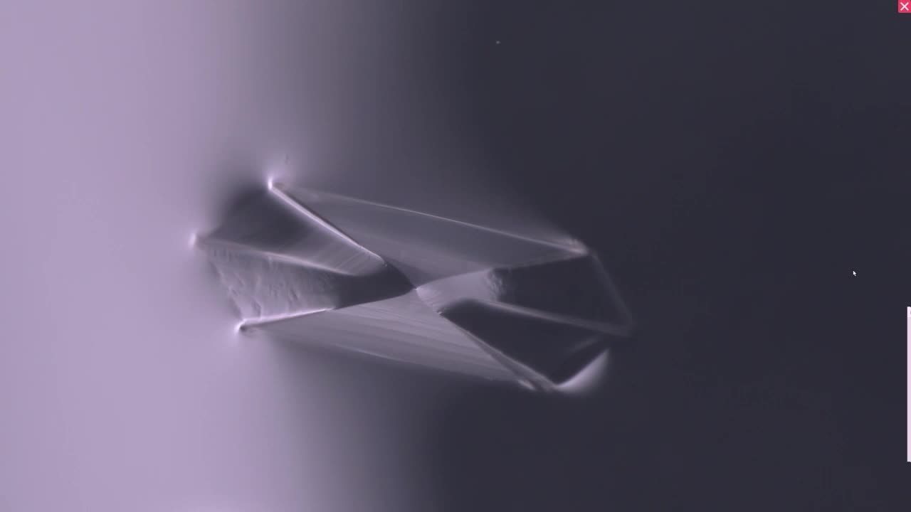 Video Demonstration: Conscious intent materializes physical structures in 3D space