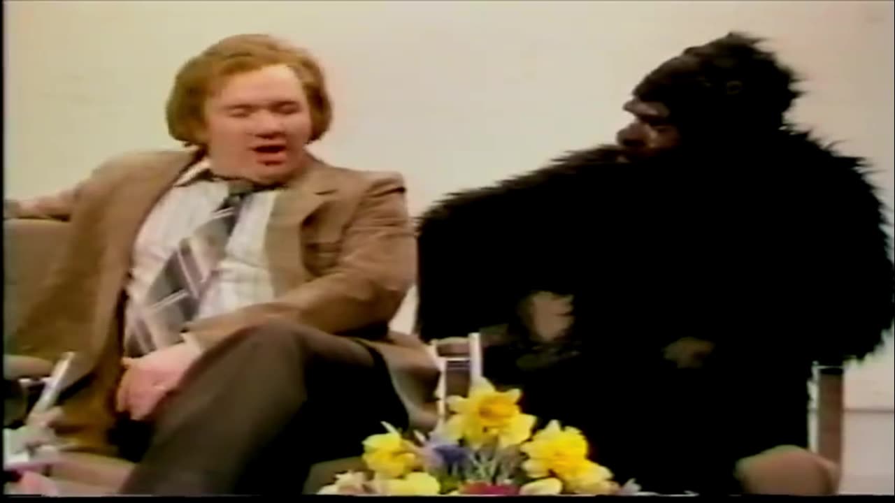 NOT THE NINE O'CLOCK NEWS - GORILLA SKETCH - ROWAN ATKINSON