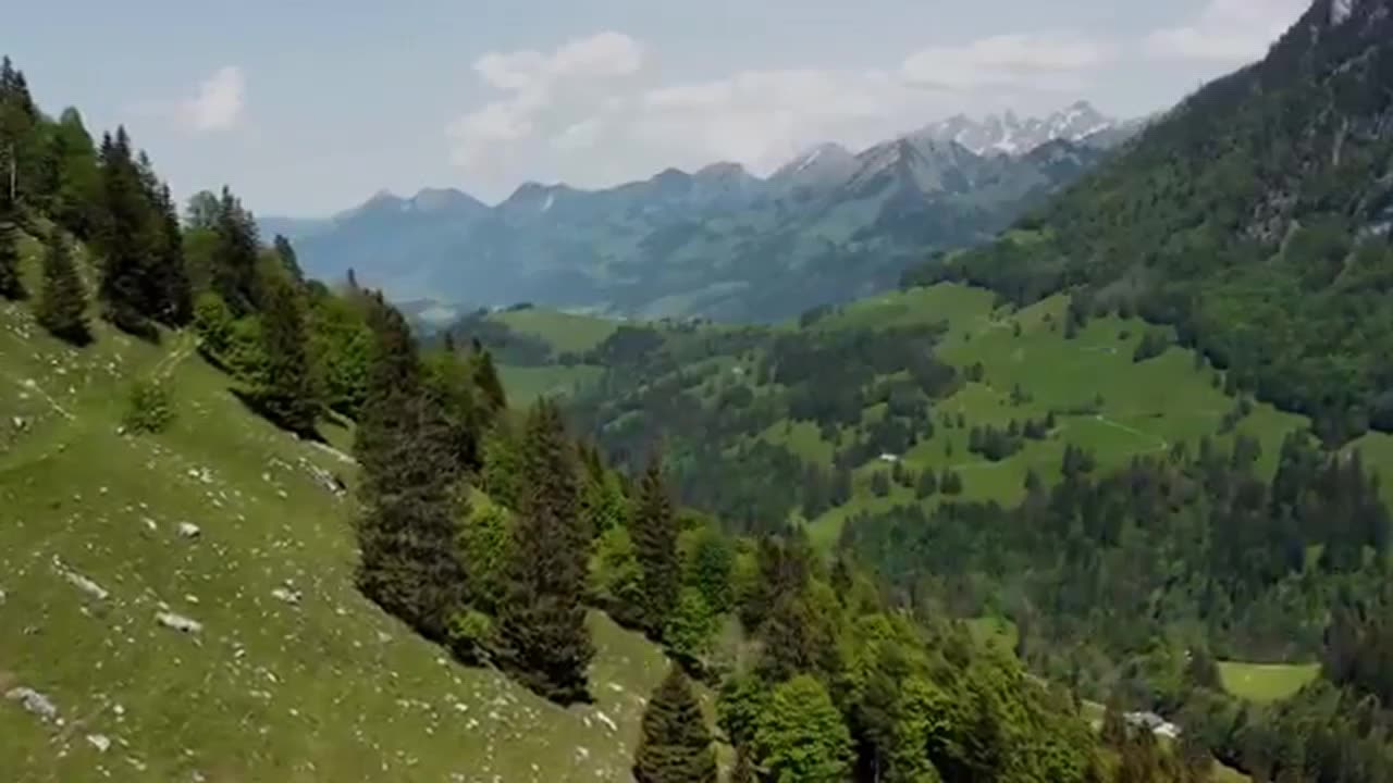 If you truly want a Better World Please share this Video Thank you