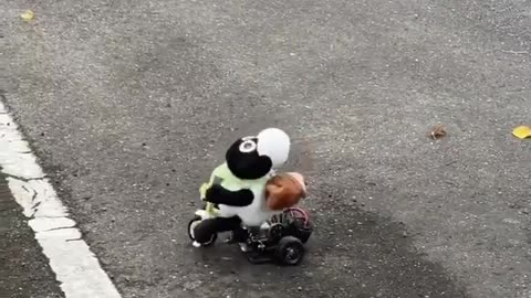 😂🐑 Tokyo Drift Meets Shaun the Sheep | FunFM