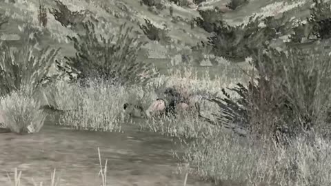How To DOMINATE A 1v4 In DayZ