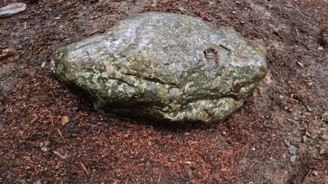 Rad Rock