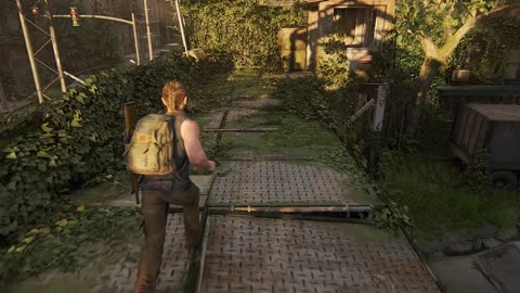 The Last Of Us Part 2 - 24