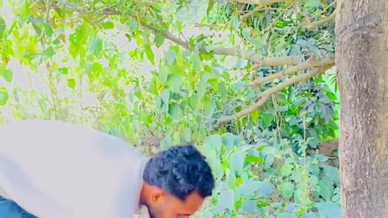 Wait For It... This Had Me Crying 😂🤣 | Funniest Video of the Week!