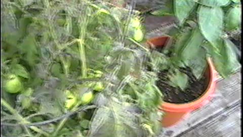 2004-NY-LakeTitus-2