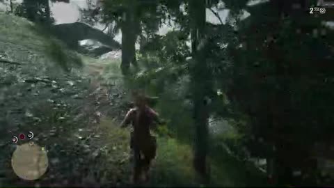 Red Dead Redemption II After Suppa