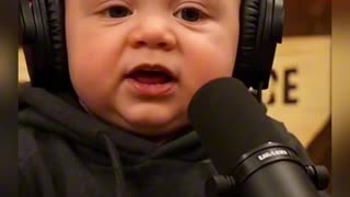 joe baby the bees