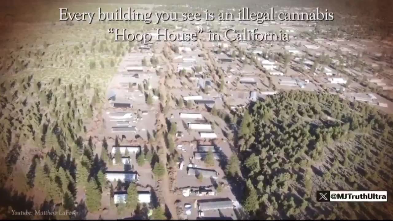 High Crimes: The Chinese Mafia’s Takeover of Rural America