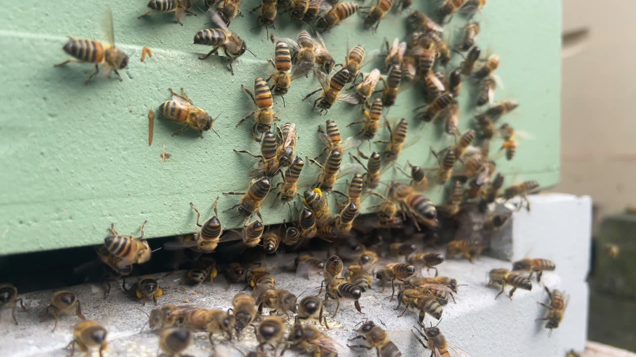 Spring season has begun and we are booming.