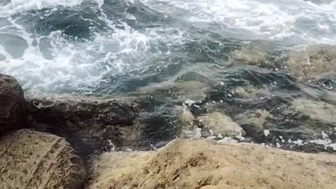 Sea