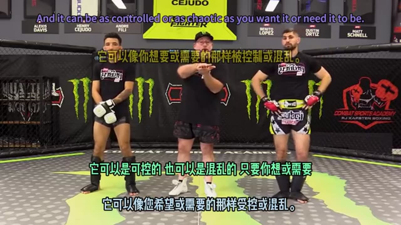 World Class Effective Striking For MMA by Kirian Fitzgibbons