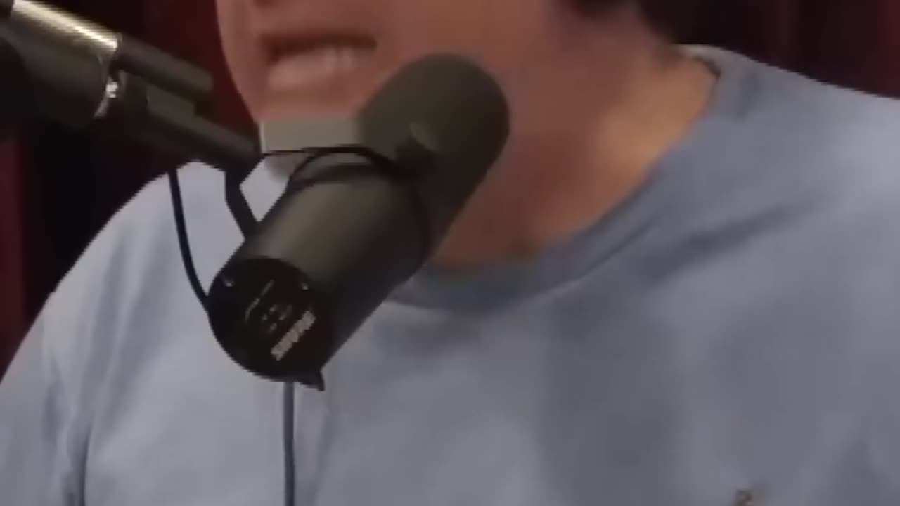 Comedian's Take on The View Has Joe Rogan in Stitches