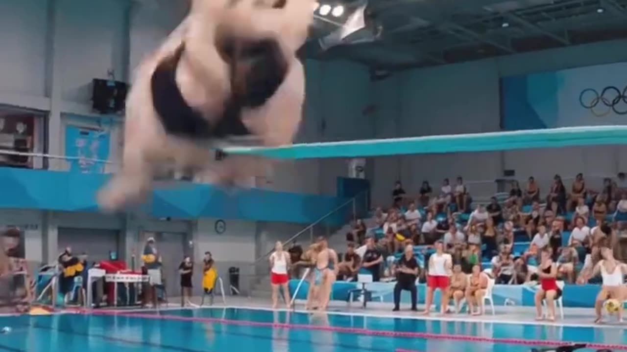Wow 🫣🫣