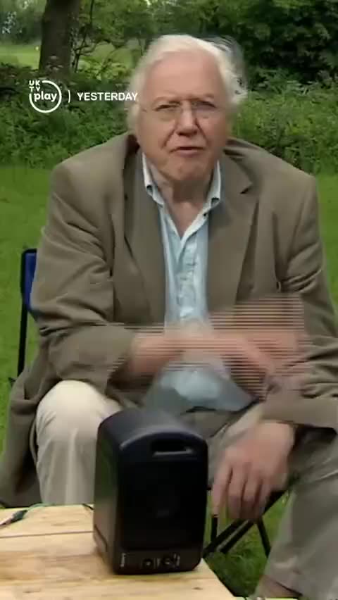 Plants and bees communicate with each other by creating small electric fields