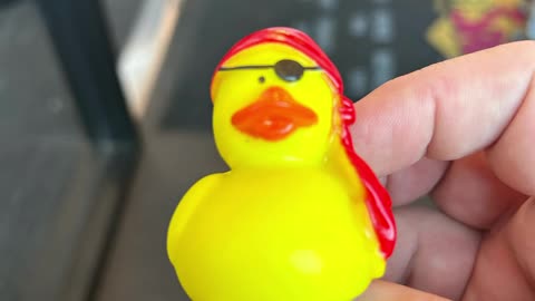 Ducky