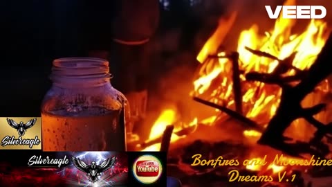 Bonfires and Moonshine Dreams V.1