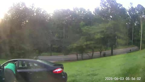 Tuesday Morning