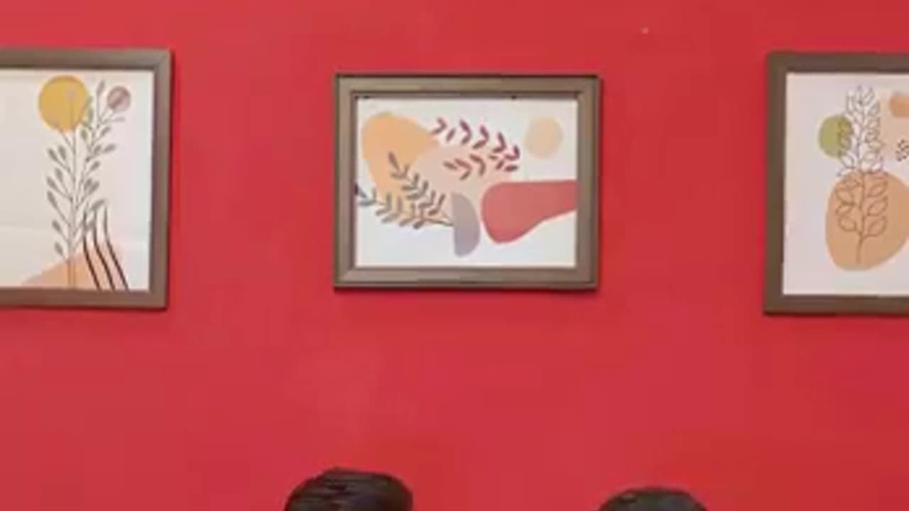 Ashish Comedycriketing Colletion
