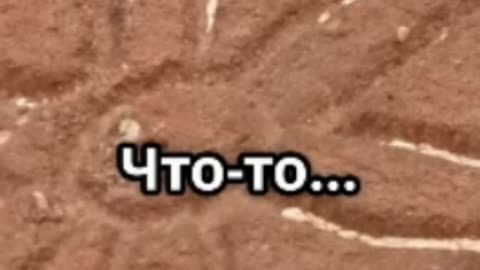 Тайна комнаты 119: Польша, 1997.