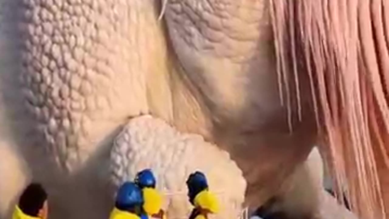 Giant Sea Monster Appears Behind Fishing Boat – Caught on Camera!