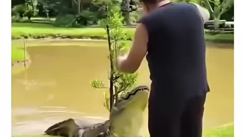 Hello friend