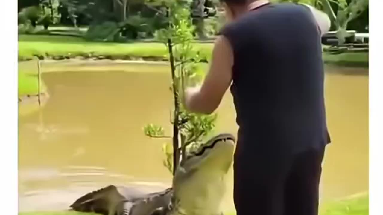 Hello friend