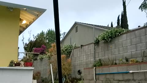 The Pool Light