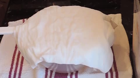 Homemade Vegan Cream Cheese & Yogurt | Easy Plant-Based Recipe