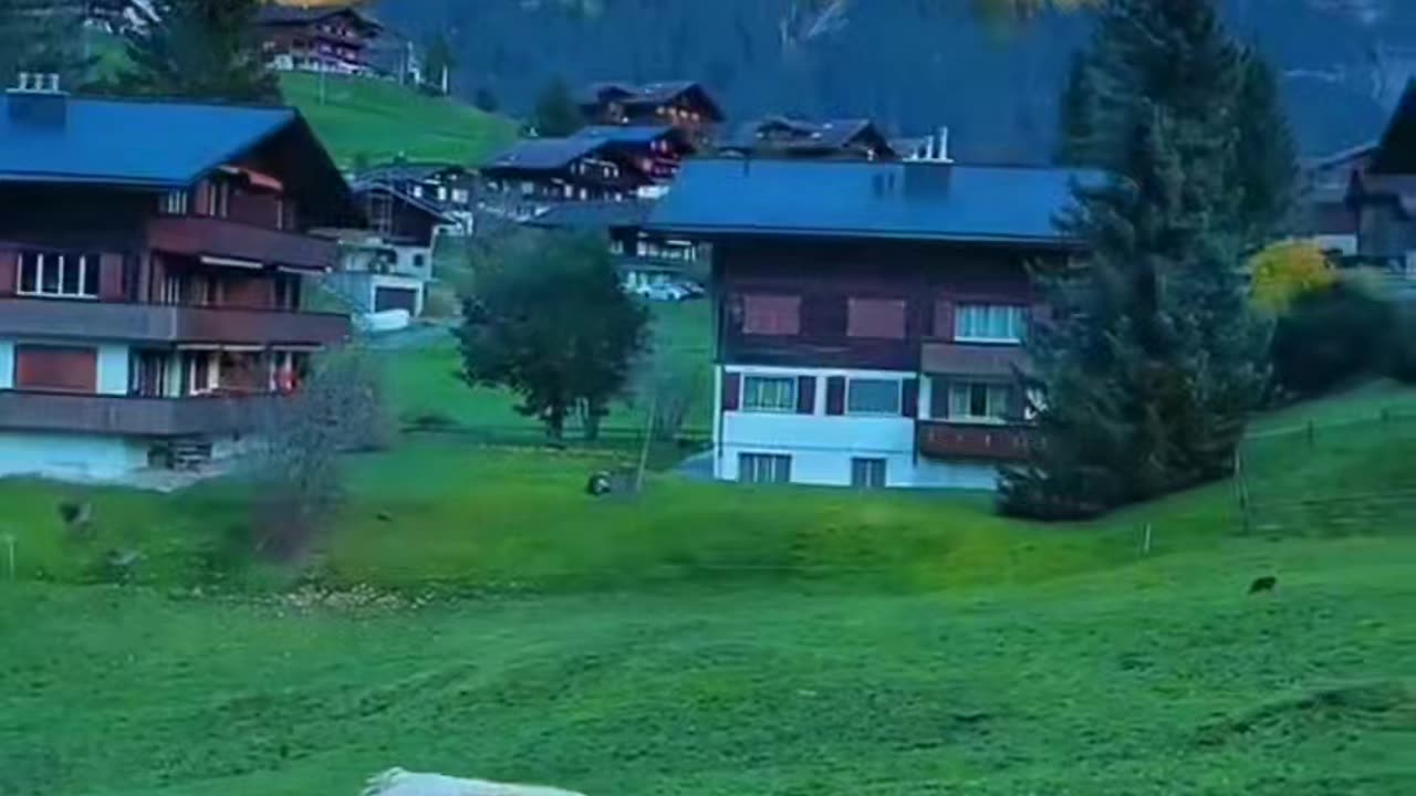 Amazing NTure