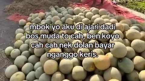 Good