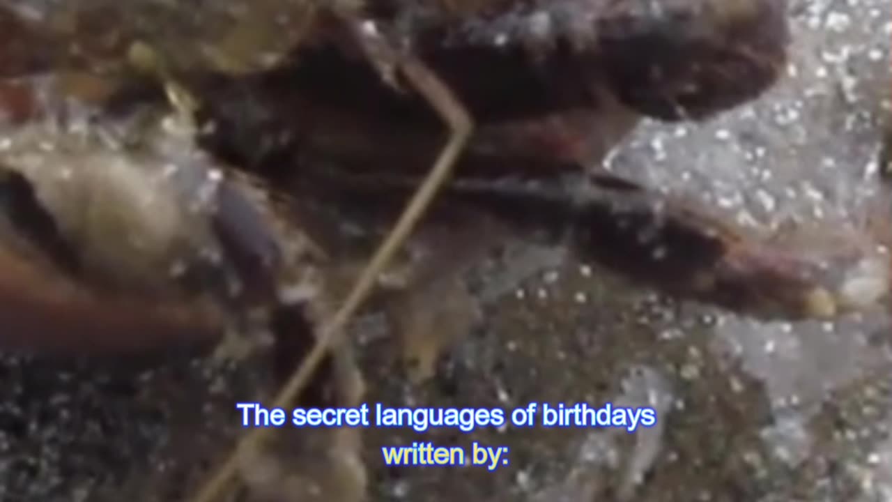 17 September - The Secret Languages of Birthdays [Numerology, Astrology and Tarot]