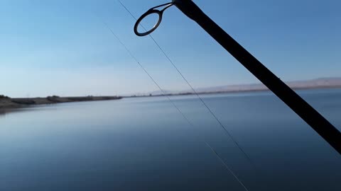 Raw and Uncut Fishing for Striped Bass on Ultralight Tackle!