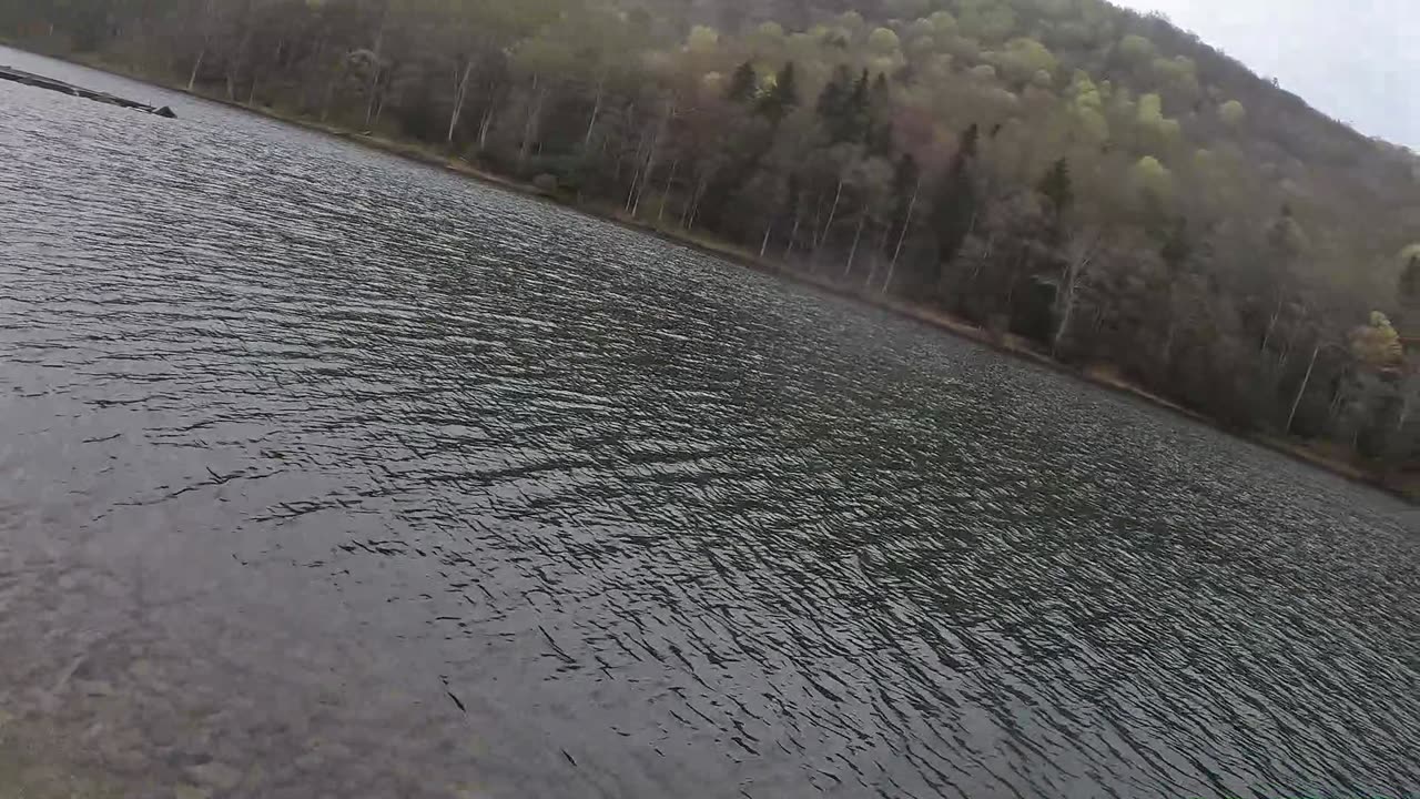 First Trout of the Year
