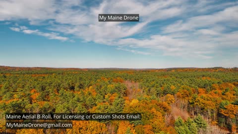 Maine B-Roll (No Sound): Fall Foliage at Lily Pond in New Gloucester, Maine Video 12