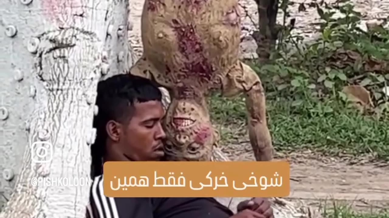 Just jokingš¤£