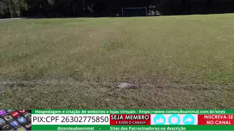 existe limite mínimo de bateria senão controle não permite decolagem ... entre 30 e 20%